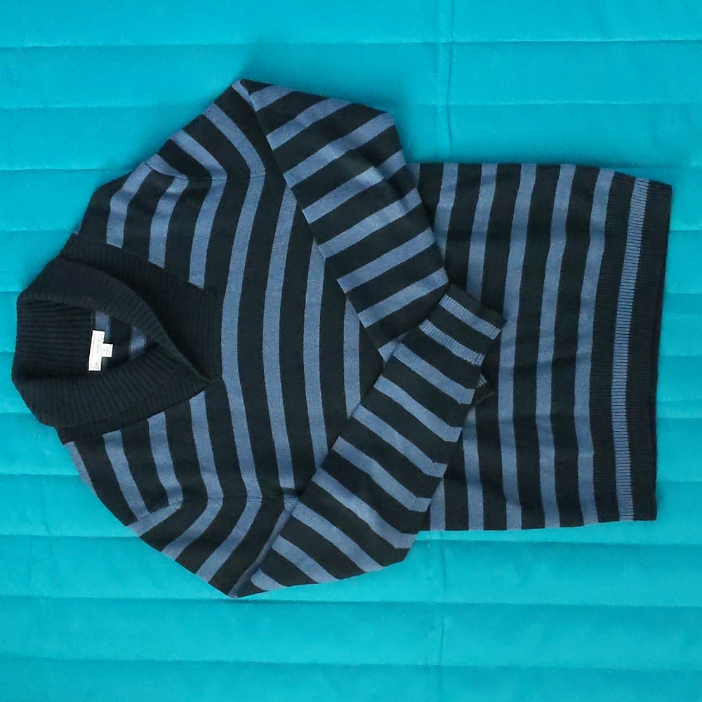 Gap Mens Blue Striped Sweater
